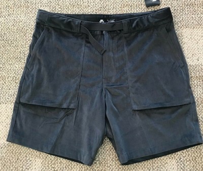 nike sb dri fit flex shorts