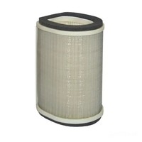 Hiflo Luftfilter HFA4912 FüR Yamaha FJR 1300 AS Automatik ABS Bj. 2006-2017