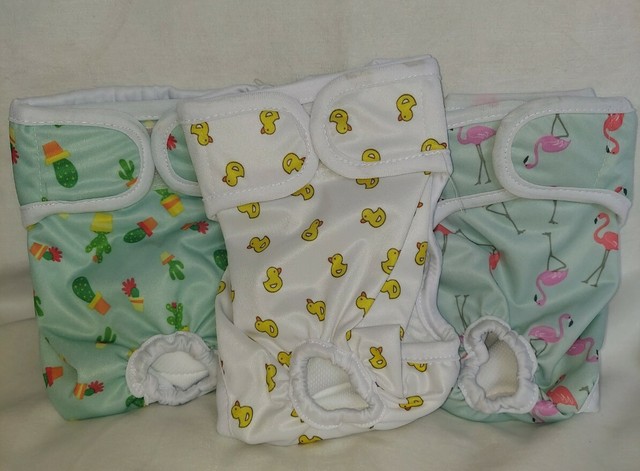 pet magasin dog diapers