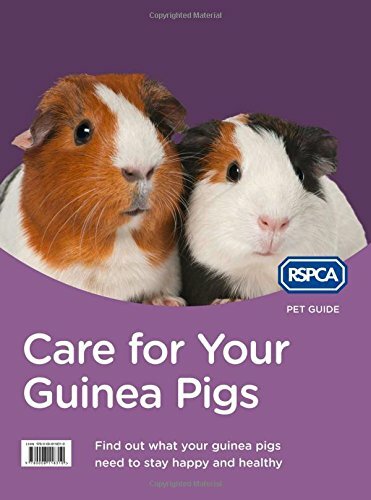 Care for Your Guinea Pigs (RSPCA Pet Guide) By RSPCA - Bild 1 von 1