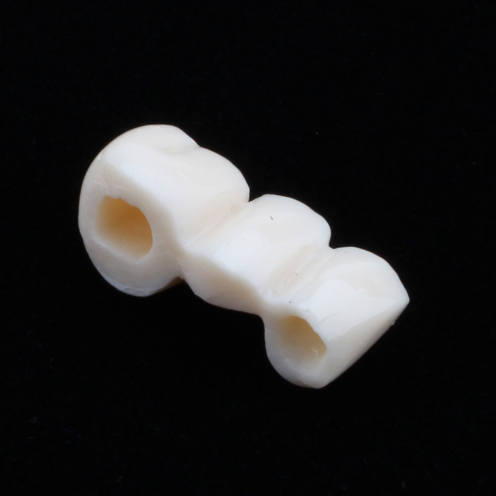 Dental Disease Teaching Study Adult Typodont Demonstration Teeth Model dental-disease-teaching-study-adult-typodont-demonstration-teeth-model