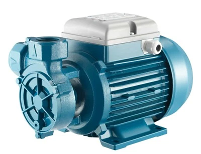 Foras PL100 Périphérique, Made IN Italy, Antiblockierfunktion, 230V, 0.74 Kw - Photo 1/4