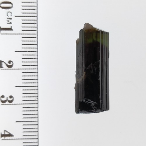 Tourmaline green cap bicolor Elbaite terminated crystal specimen StakNala 22.8ct - Picture 6 of 7