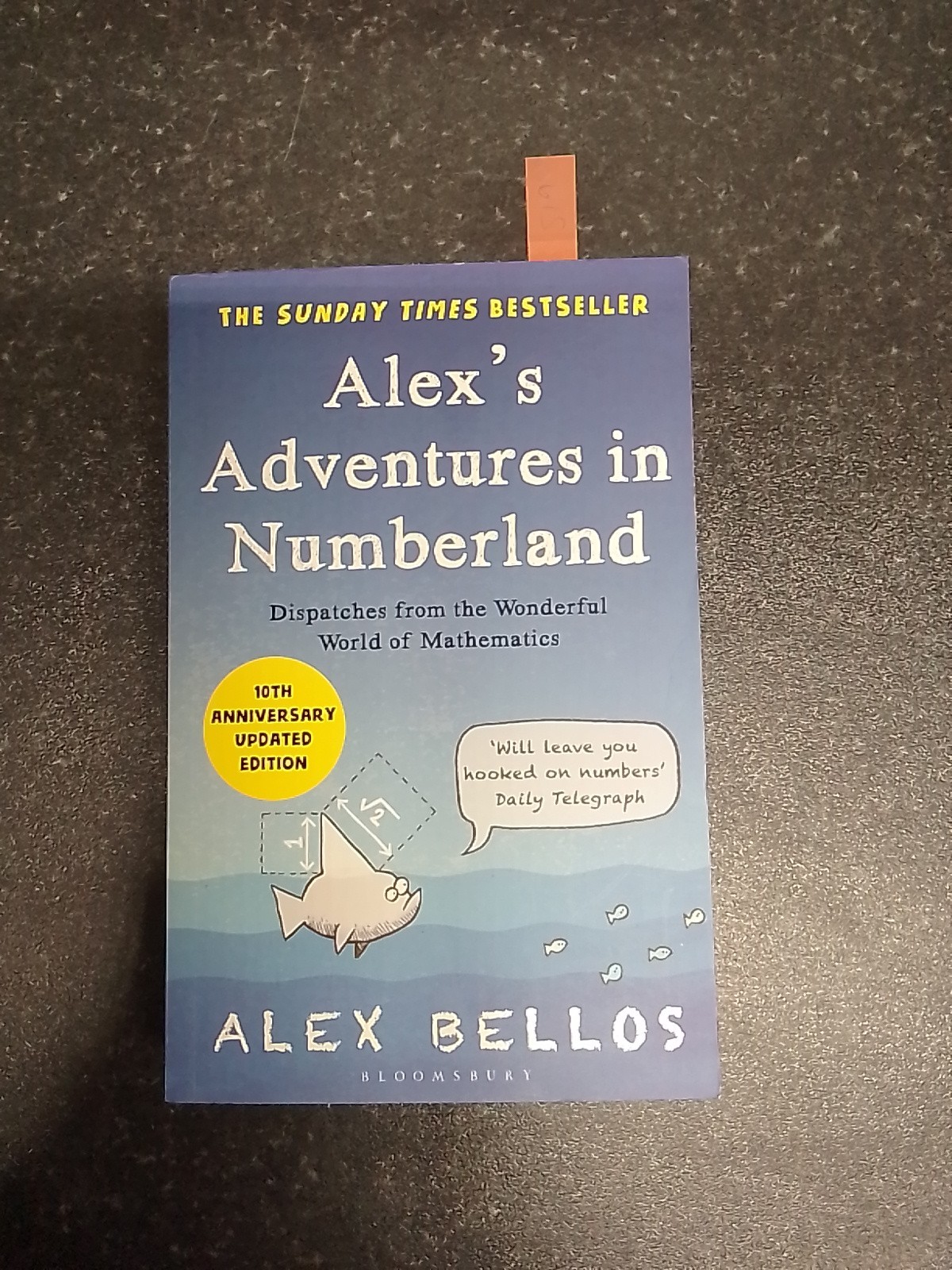 Alex's Adventures in Numberland: Tenth Anniversary Edition by Alex Bellos (Engli