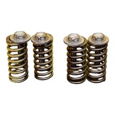 Honda 450 Crf 2009-2012 Spring Clutch