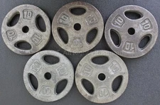 5 CAP Barbell Cast 10 Pound Barbell Weights RWP-010