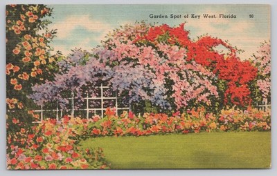 Postcard Key West, Florida, 1949 Garden Spot Of Key West A9631