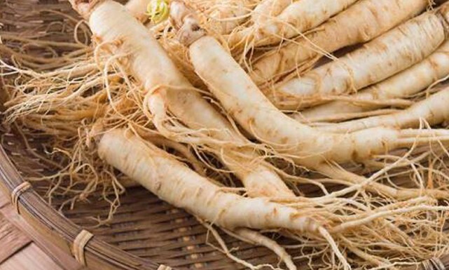200 G Shersh Zallouh Root Dried Ferula Hermonis Organic EBay 200-g-shersh-zallouh-root-dried-ferula-hermonis-organic-ebay
