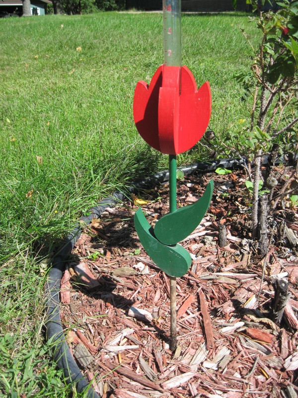 Rain Gauge, Red Tulip holding 5 inch glass rain gauge, hand made.