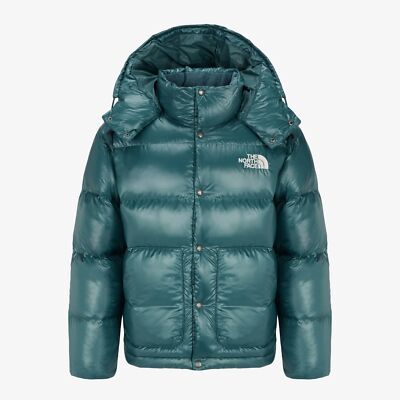 THE NORTH FACE Mens SIERRA RDS DOWN JACKET NJ1DQ67C GREEN M-2XL ASIAN FIT TAKSE