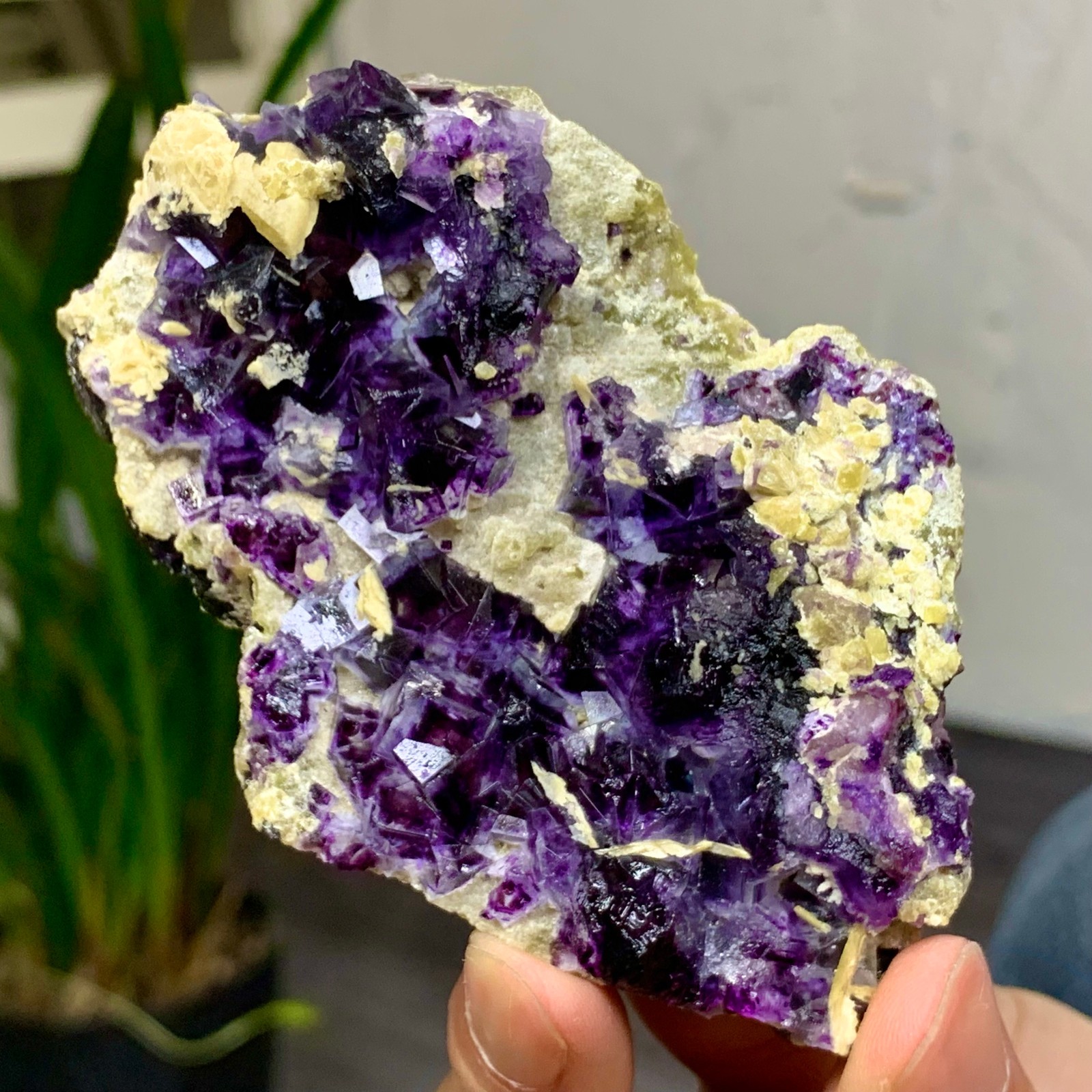 157G Natural Purple Phantom Cube Fluorite Crystal Specimen from Yaogangxian
