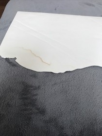 Sega Dreamcast NBA 2k1 Standee Display Promo Allen Inversion NBA Basketball 2000