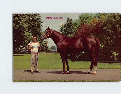 #ad Postcard Whirlaway: Calumet#x27;s First Kentucky Derby Winner $3.49