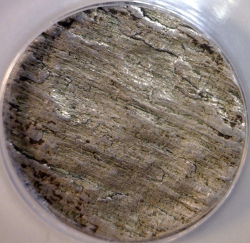 1920 ERROR ANACS VG8 SPLIT PLANCHET After Strike Buffalo Nickel Coins BOTH PCS.! - Picture 8 of 10