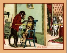 Vintage 1908 CAT DENTIST 8x10 Postcard art print Monkey Ape Dentist