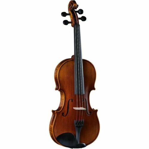 Maintained German Made Ferdinand Wunder Nr.306 Violin 4/4 1998 