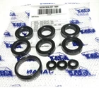 30530  OEM SEAL KIT FOR CAT PUMPS  3DX29GSI, 3DX30GSI