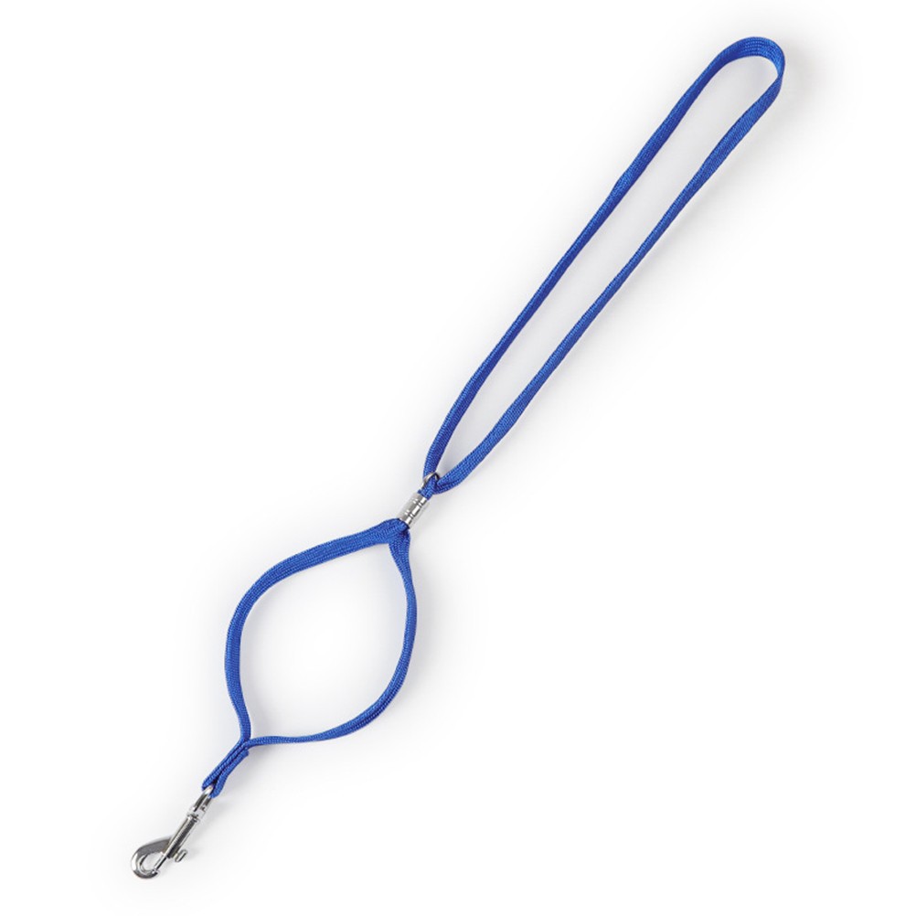  4 Pezzi Corda di Bellezza per Animali Domestici Cane Bagno Tether Bagno Capelli Accessori per Gatto