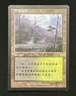 MTG MAGIC THE GATHERING LLANOWAR WASTES RARE APOCALYPSE SIMPLIFIED CHINESE