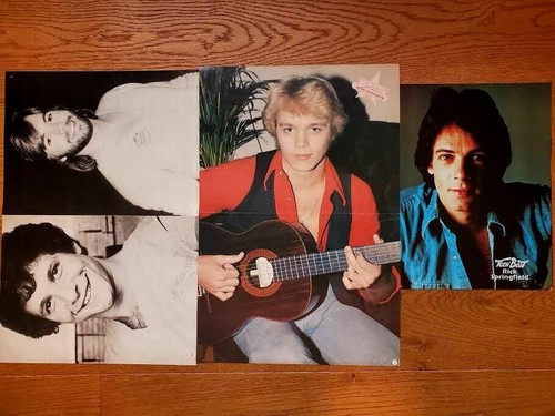 Lot DUKES OF HAZZARD Magazine Centerfolds & PinUps Clippings Daisy Luke Bo - Picture 8 of 8