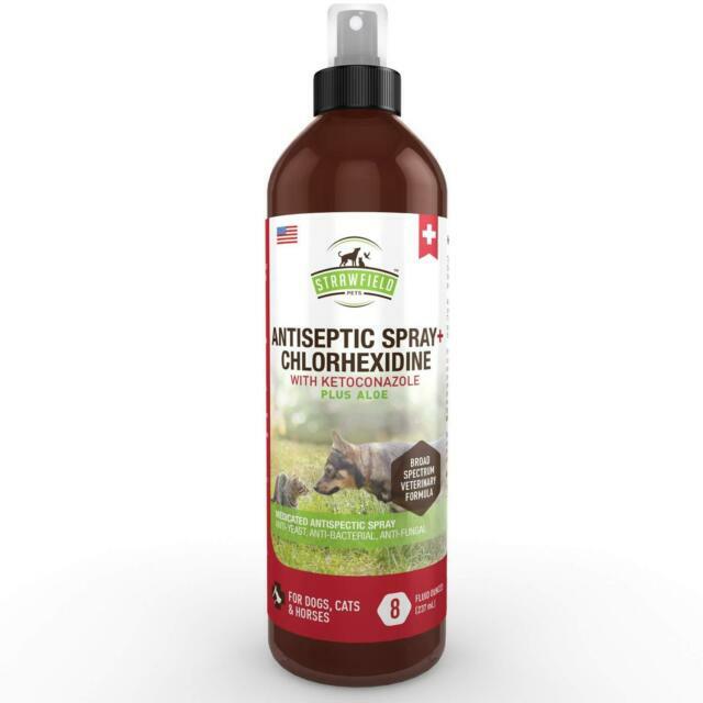 dog chlorhexidine shampoo