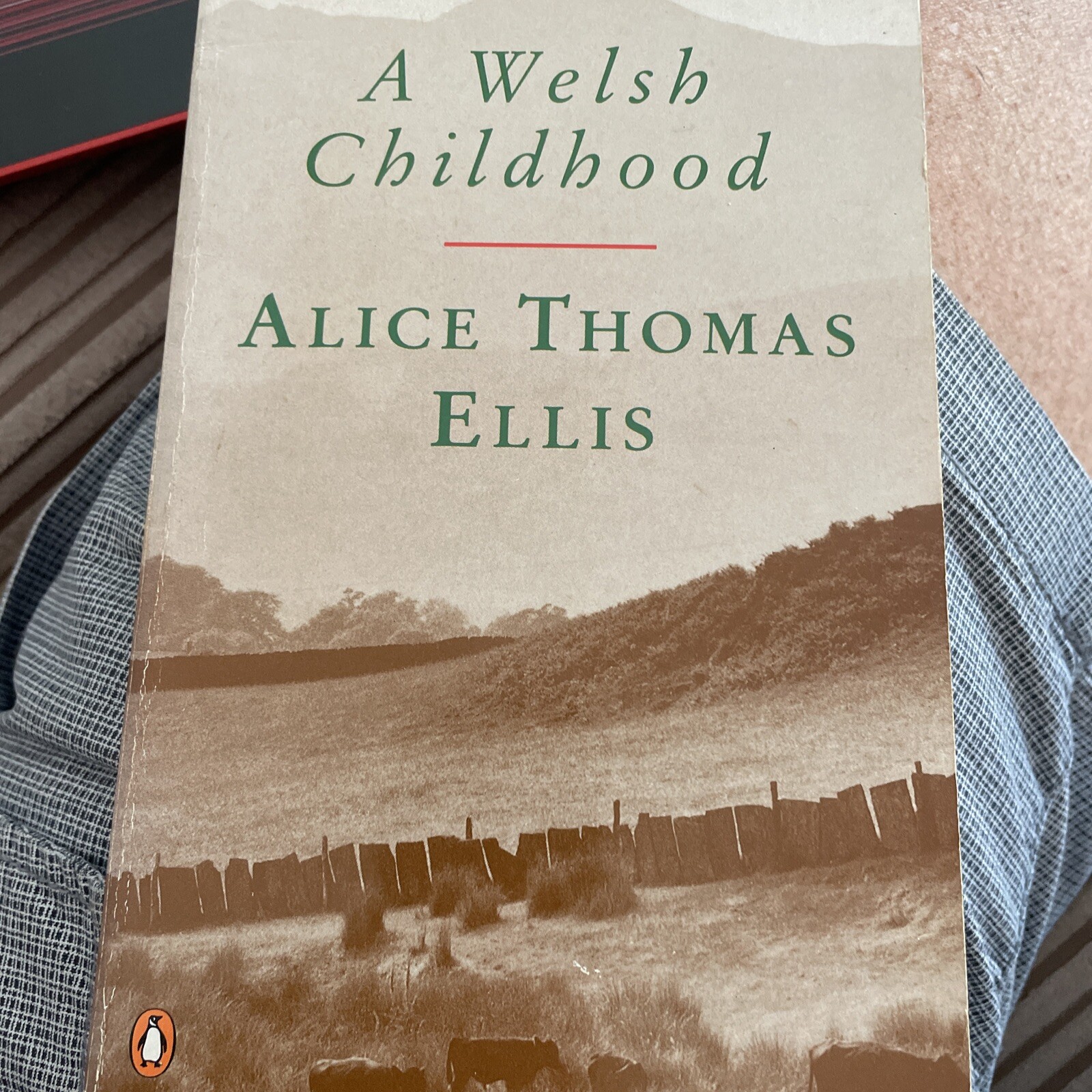 A Welsh Childhood by Alice Thomas Ellis (Paperback, 1992)