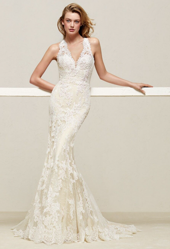 17 🟠 Drilos by Pronovias | Size uk10 | Ivory & Cream Lace Wedding Dress - Picture 3 of 11