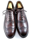 NEW Allen Edmonds  "MCALLISTER" Wing-Tip Oxfords 10 E Chili Made in USA(837N)