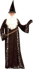 Oh Mr. Wizard Robe Adult Costume