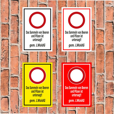 Schild Das Sammeln von Beeren u. Pilzen ist untersagt! - in 4 Größen - S359-009
