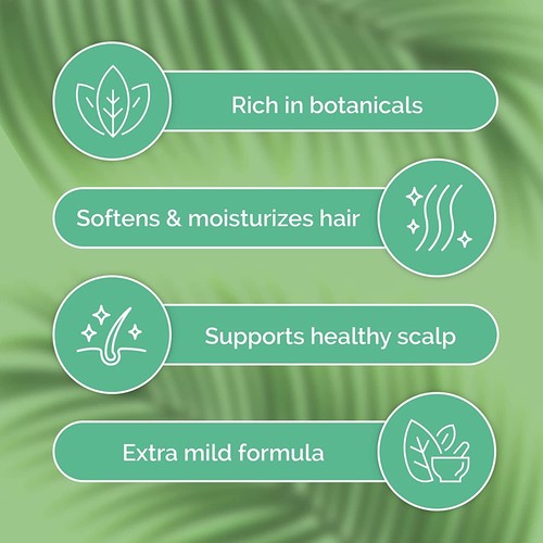 ShiKai Natural Tea Tree Oil Shampoo Made with Essential Oils 24 fl oz Pack of 2 - Picture 3 of 4