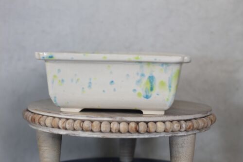 Spring Meadow Porcelain Bonsai Pot #2131 – Perfect for Indoor Bonsai - Picture 3 of 10
