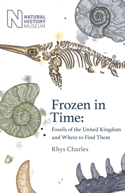 Frozen in Time by Rhys Charles (Hardback Book)