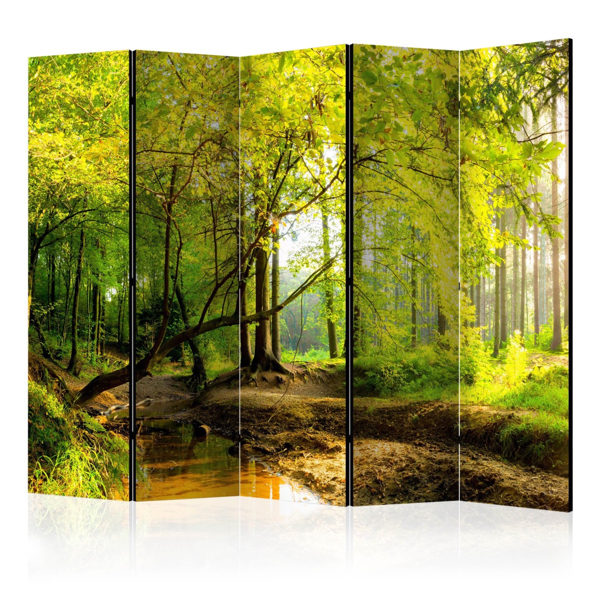 Paravent 5 volets séparateur de pièce occultant imprimé nature