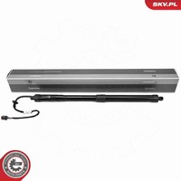 Esen SKV Elektromotor Heckklappe 52SKV210 FüR Hyundai Santa FÉ Crdi Allrad