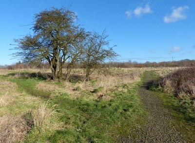 Photo A2 Path on the edge of Oadby On the eastern edge of Oadby, the foo c2013