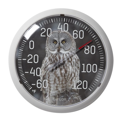 Nature Series Indoor Outdoor Owl Thermometer, Easy to Read Wall Decor for Pat...