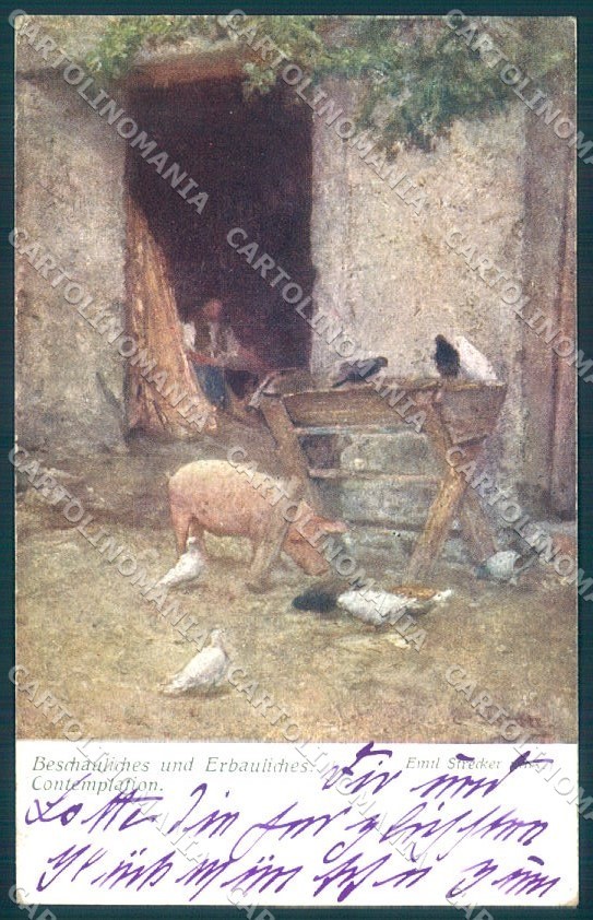 Cartolina cartolina firmata artista strecker animali maiale uccellino BKWI 2249 TW1429