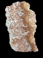 ROSETTA LACE DOLOMITE SLAB  7.61oz Lapidary Cabbing Crystal Rough Rock Mineral