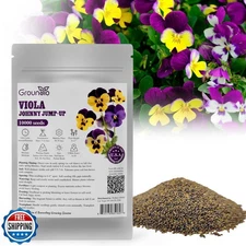 Groundio Johnny Jump Up Seeds, 10000+ Perennial Wild Violet Seeds for Plantin