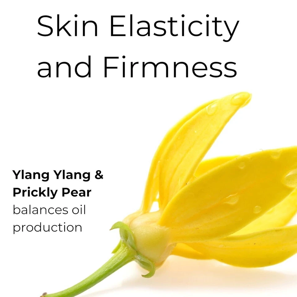 Noor Skincare Anti Aging Cream For Glowing Skin & Anti Wrinkles - 50gm - image 3 of 4