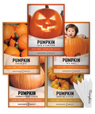 Pumpkin Seeds for Planting  5 Variety Pack