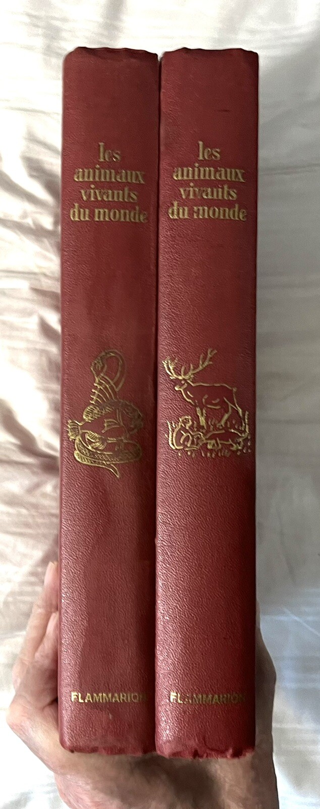 Picture 2 of 11