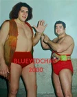 ANDRE THE GIANT & PEDRO MORALES WRESTLER 8 X 10 WRESTLING PHOTO NWA WWWF