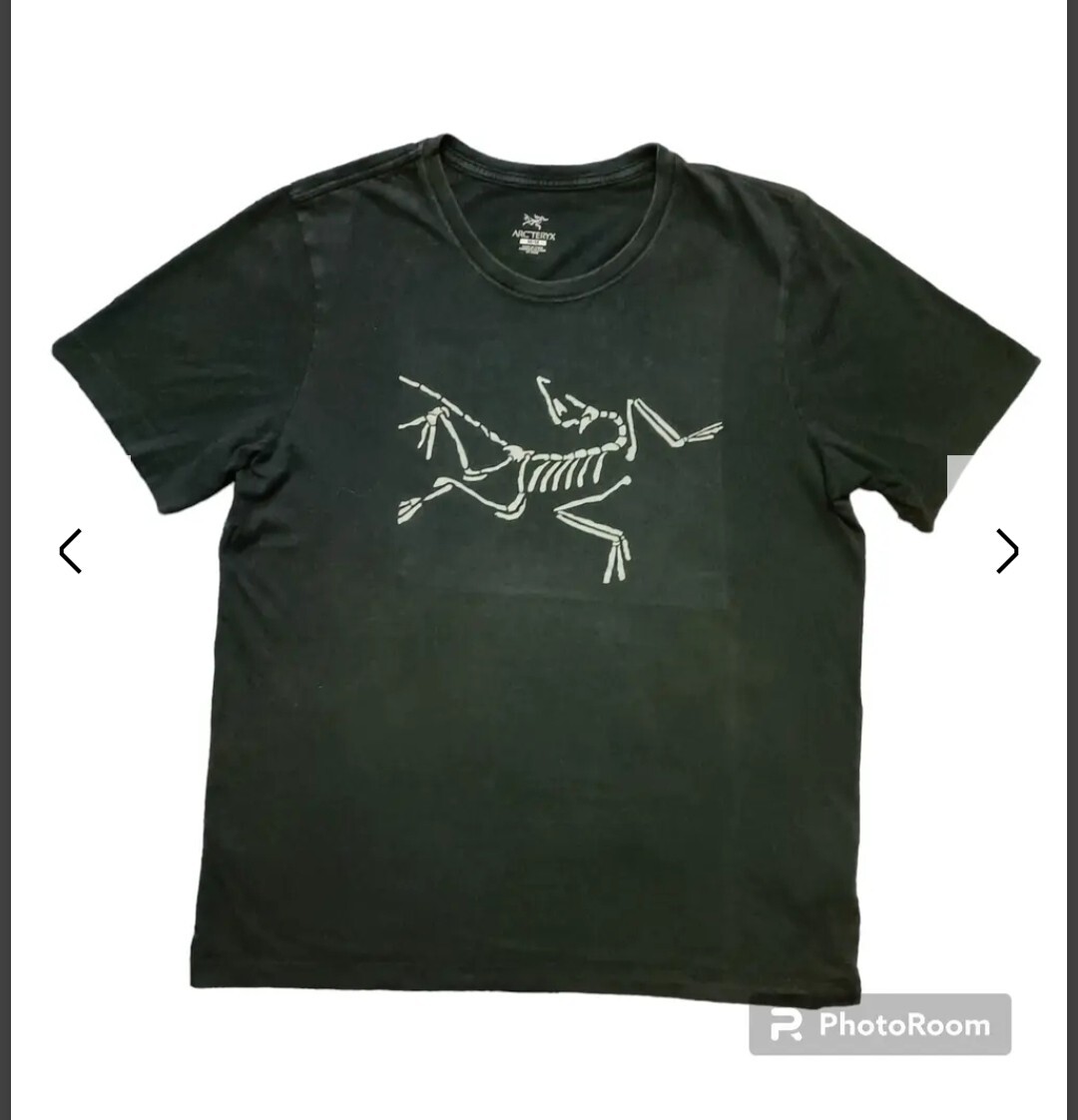 T shirt Arc'teryx con logo grande