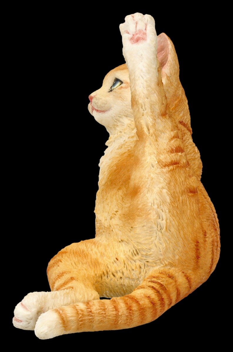 Linea arte del gatto che fa yoga pone la raccolta di clipart | Vettore