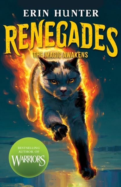 Renegades: The Magic Awakens by Erin Hunter Paperback