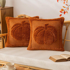 Rust Red Pumpkin Fall Throw Pillow Covers 18X18, Set of 2 Cute Fall Halloween Pi