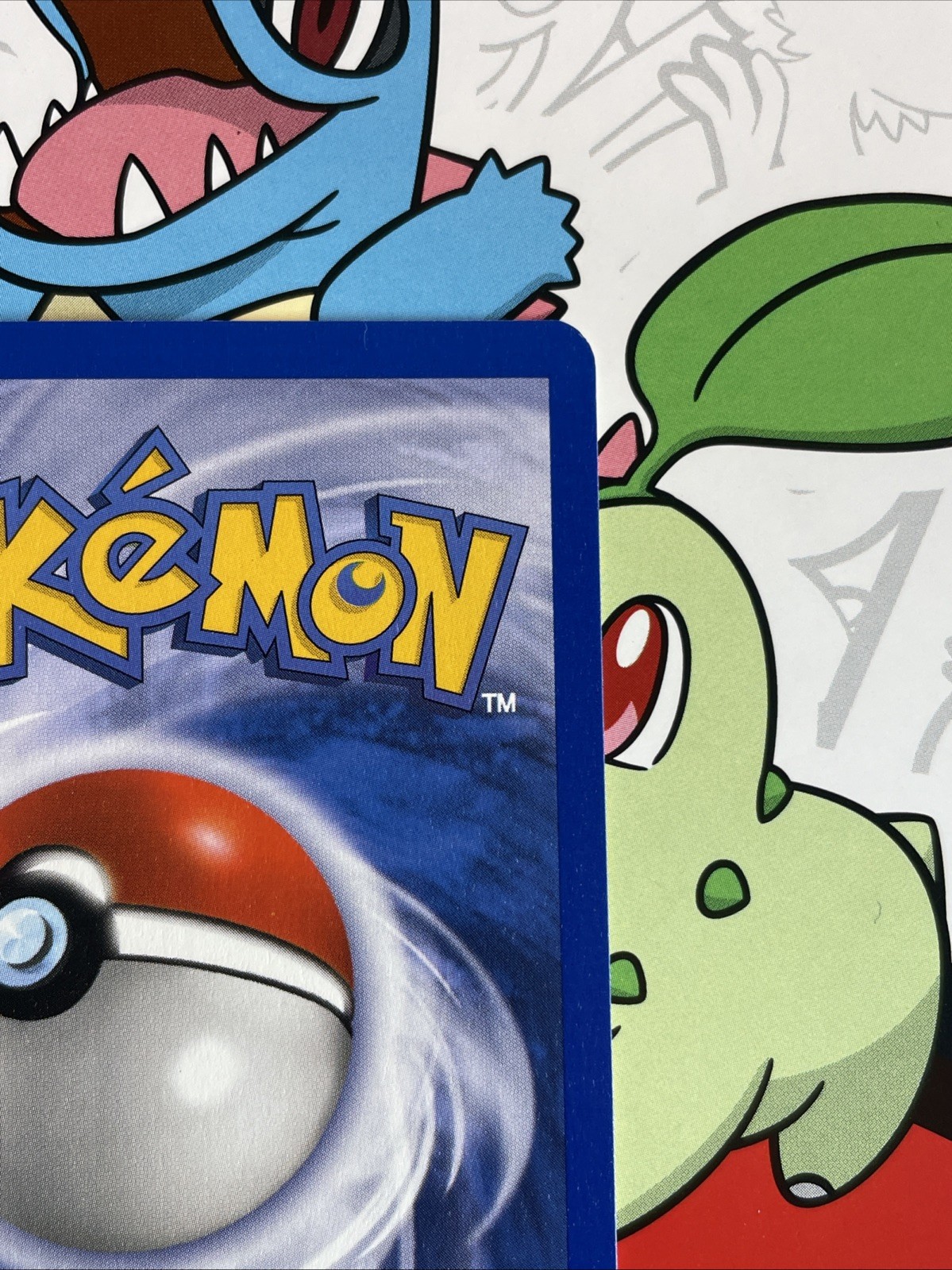 Pokemon TCG English Card eReader Skyridge Kabuto 37/144 UnCommon NM 