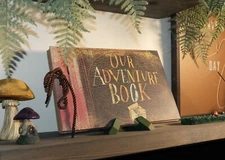 Minimalist Book Display Stand, Bookcase Stand for Collectors, Novels, Cookbooks